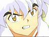 inuhead.jpg